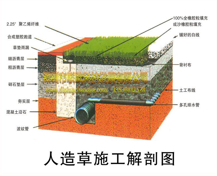 人造草施工解剖圖